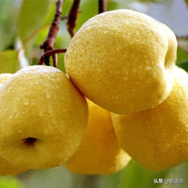 宿州五一附近美食攻略,宿州旅游周边美食