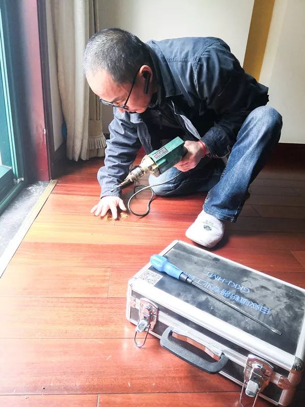 苏州家里有白蚁怎么办,太仓公寓白蚁预防防治哪家好