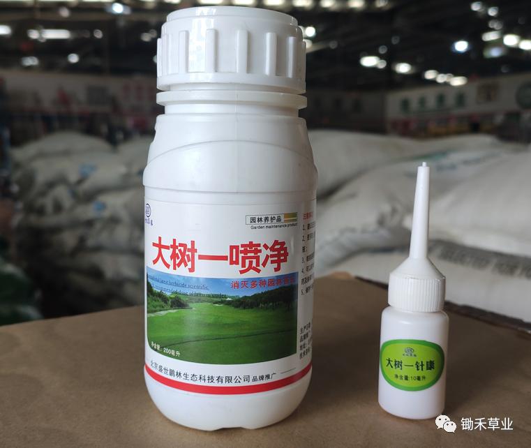 北方苗木草坪应对雨季的养护要点