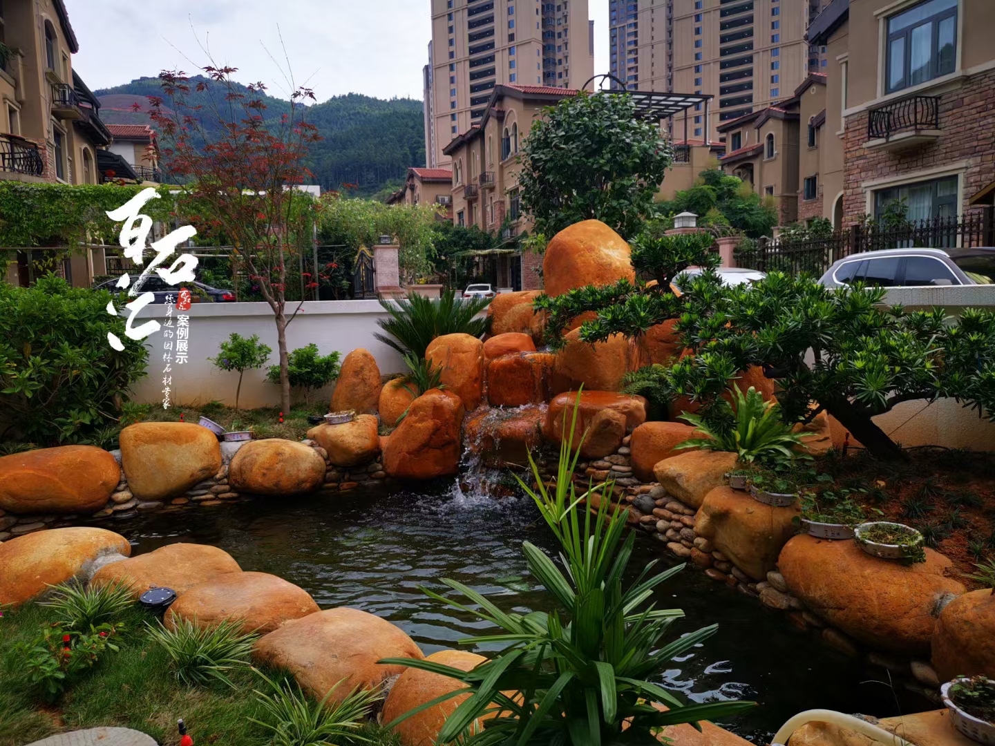 家里院子适合放什么盆栽,家里院子放什么好看