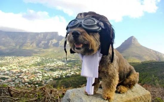 旅行100个冷知识,旅行冷知识500例