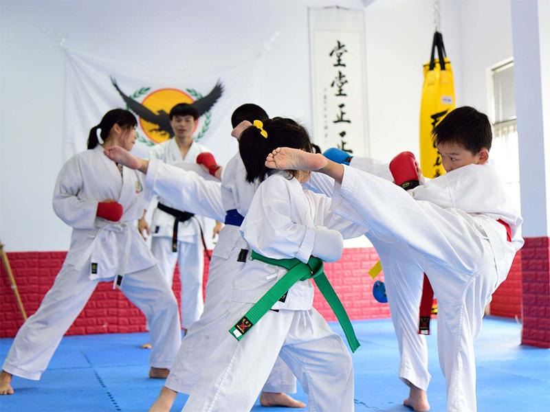 中国好的空手道训练机构,空手道培训学校好做吗
