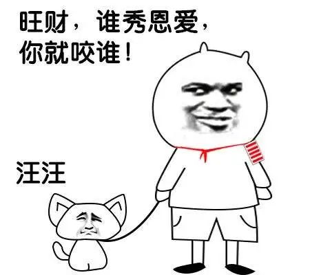 单身狗可以说singledog吗,盘点单身狗伤心之处