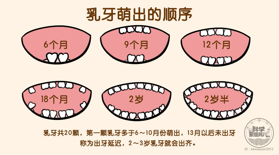 小朋友虫牙补了就好了吗,小孩的虫牙需要治疗吗