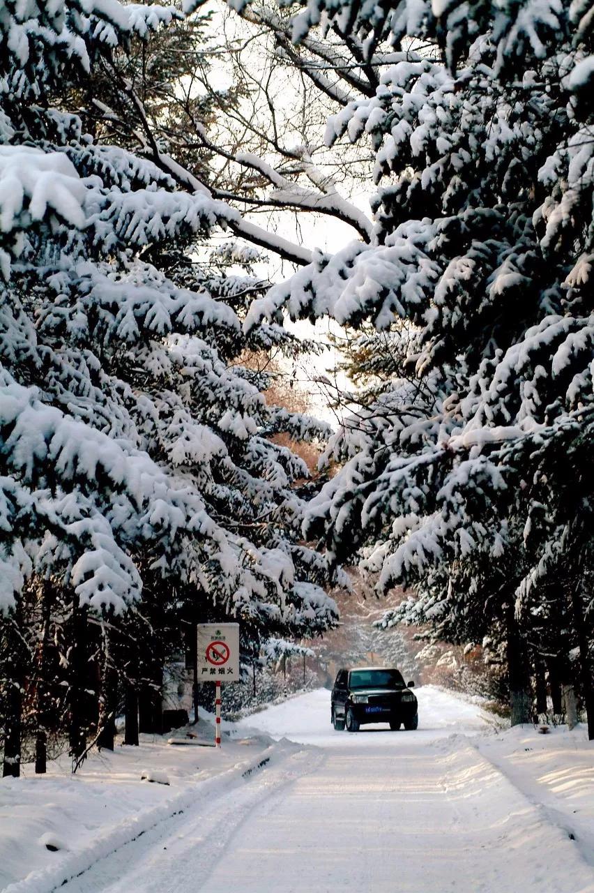 东北三省最适合宜居的城市,东北三省宜居养老城市