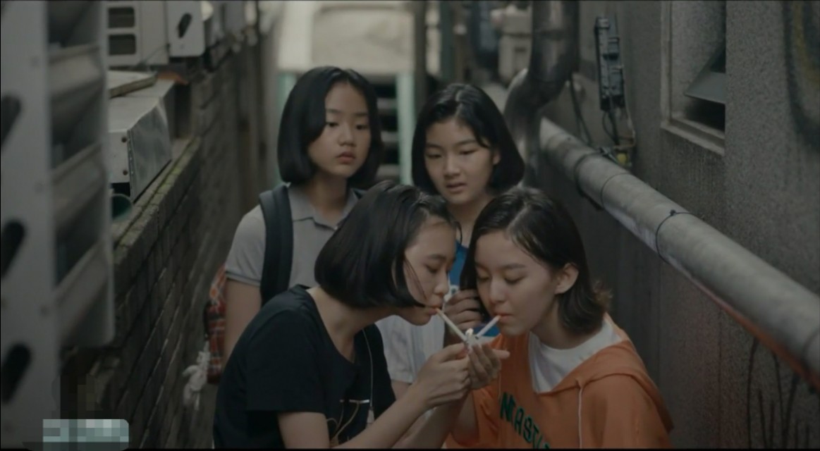 谁的青春不迷茫只希望不留遗憾,谁的青春不迷茫生活磨灭了笑容