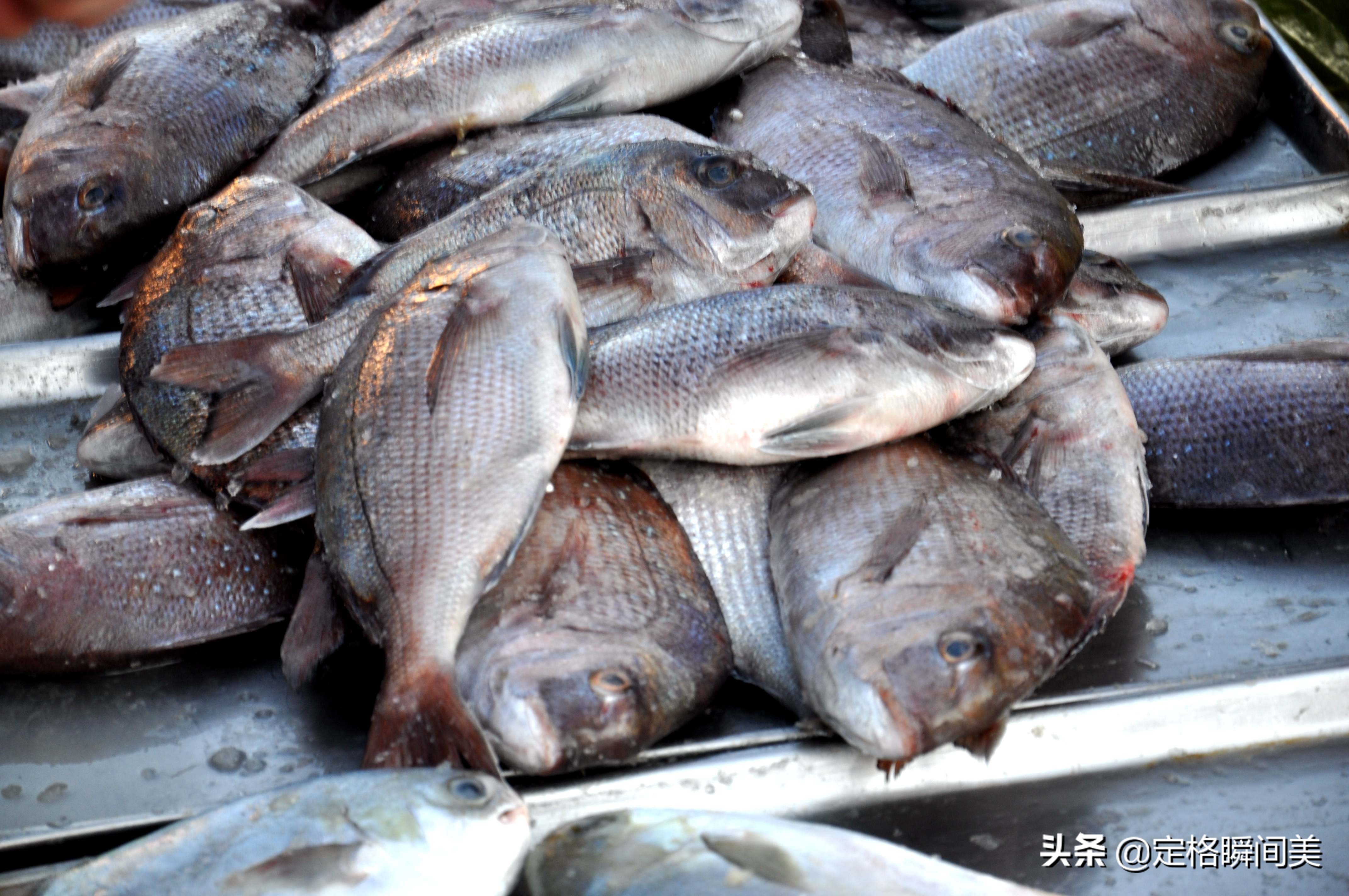 月赚20000元，青岛早市贩卖海鲜多赚钱，听听当事人的心得