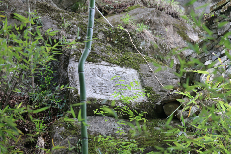 汉中周边旅游景点推荐自驾游,汉中新年到西安旅游全攻略