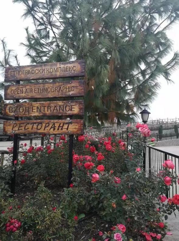 呵芬茶树精油,植物护肤精油