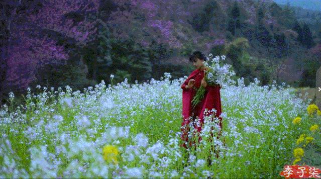 菜吧：又火了！李子柒“鲜花宴”再次火爆全网！数千万网友看酸了