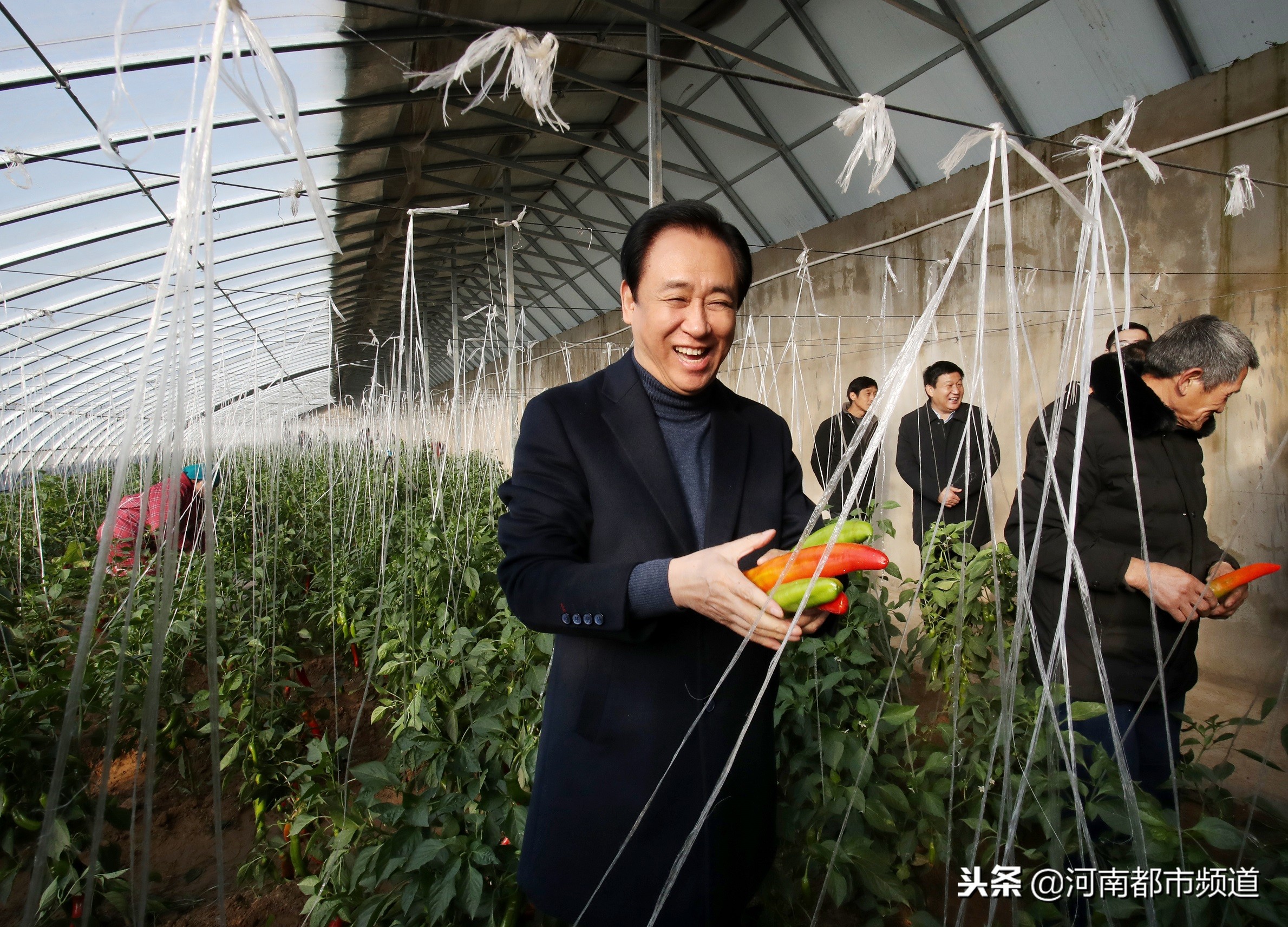 许家印阔别20年再回乡,许家印回故乡完整视频