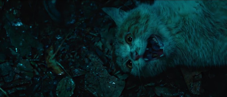 怒晴湘西探险之路,怒晴湘西画面色调像电影