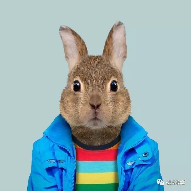 你的自拍照有多好看,分享你的高颜值自拍照