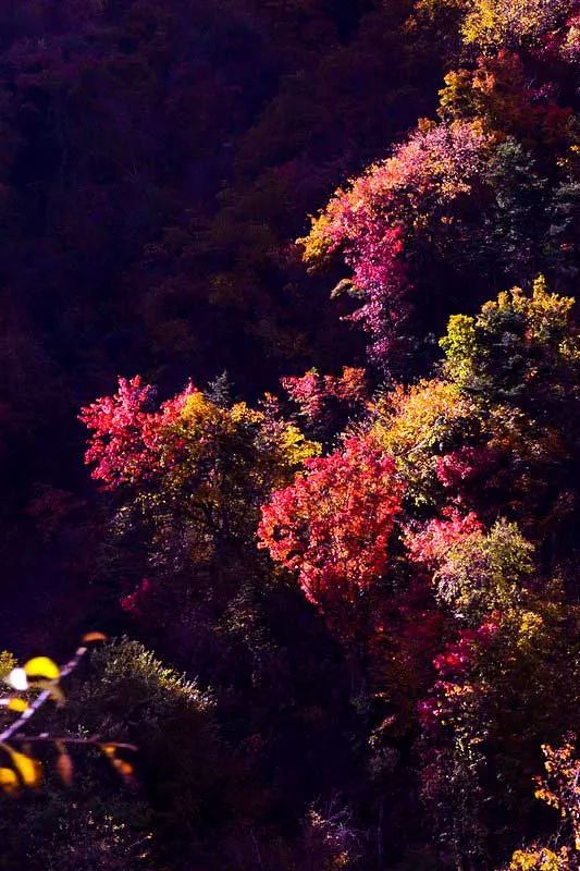 川西最美自驾游环线,川西最美越野路线