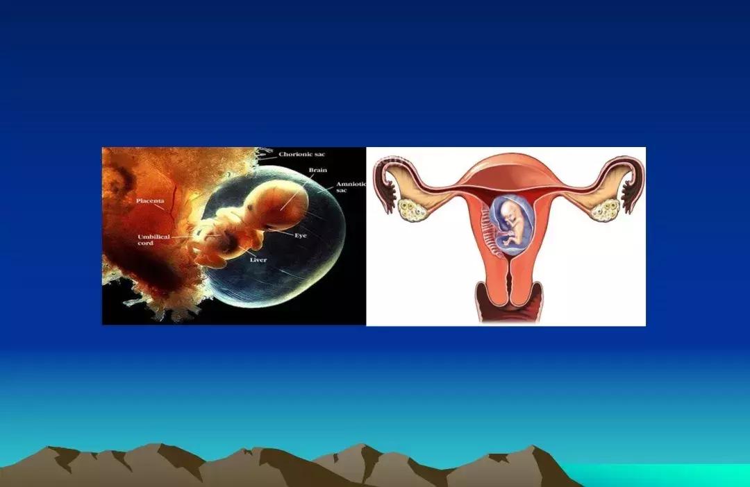 朱建龙妇科肿瘤,上海浦东医院朱建龙