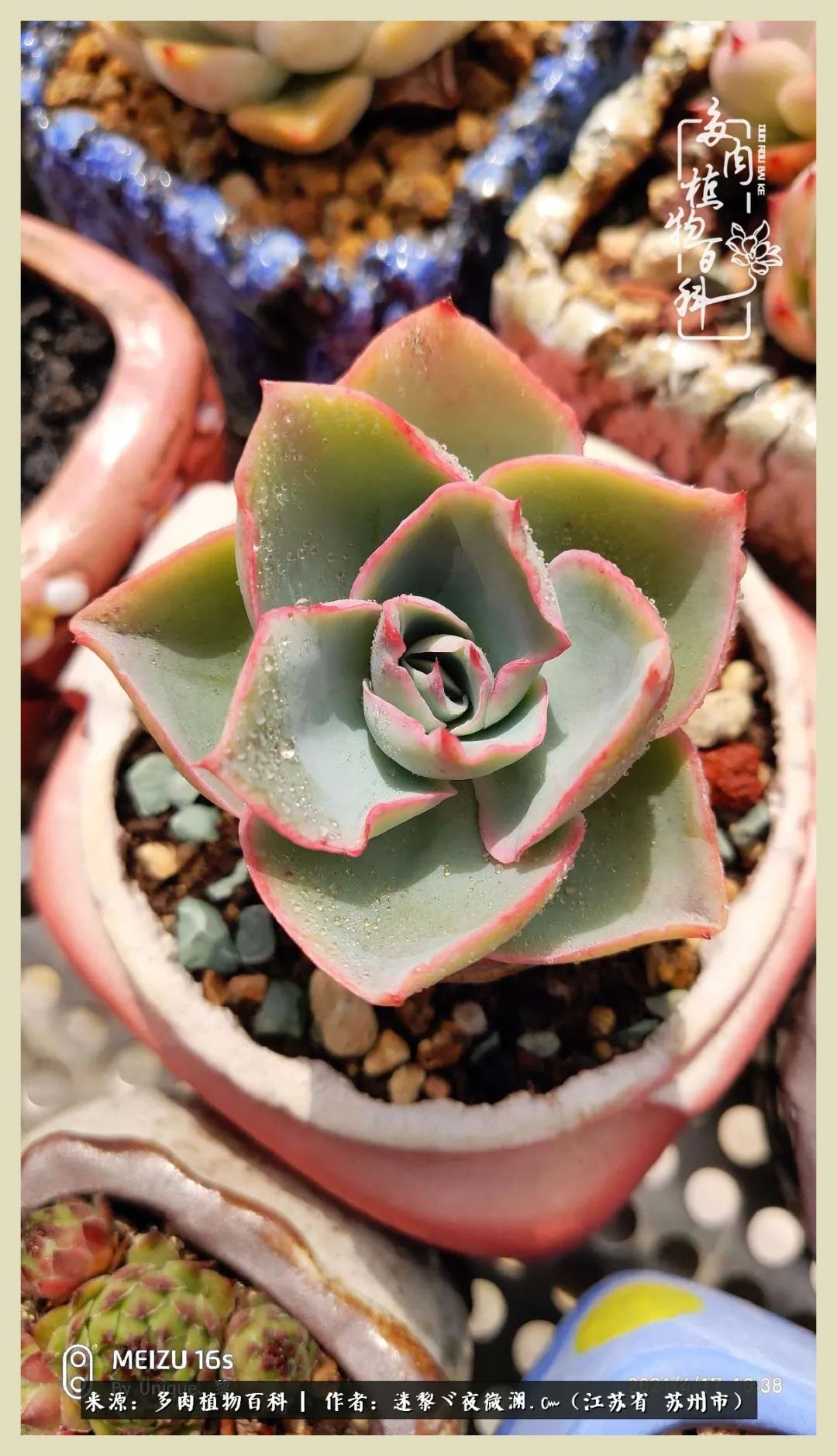 秋尽冬来岁月不居时节如流,岁月不居时节如流水