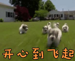 考驾照不紧张的方法有哪些,考驾照紧张考不过怎么办