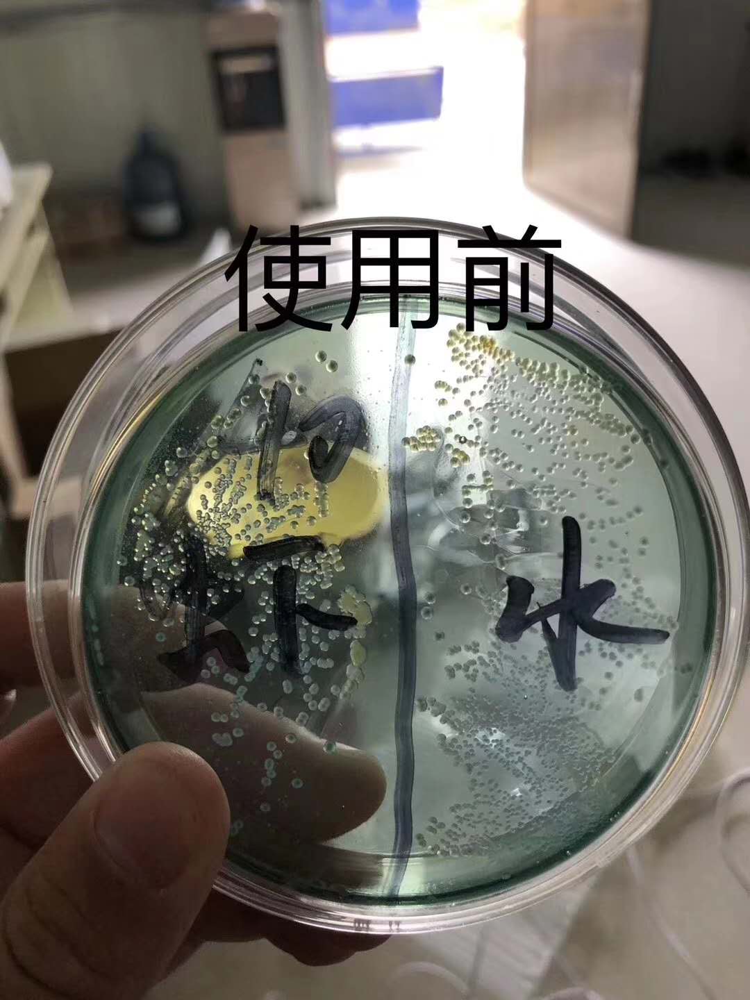 好水养好鱼鱼池,水产养殖水质过硬怎么办