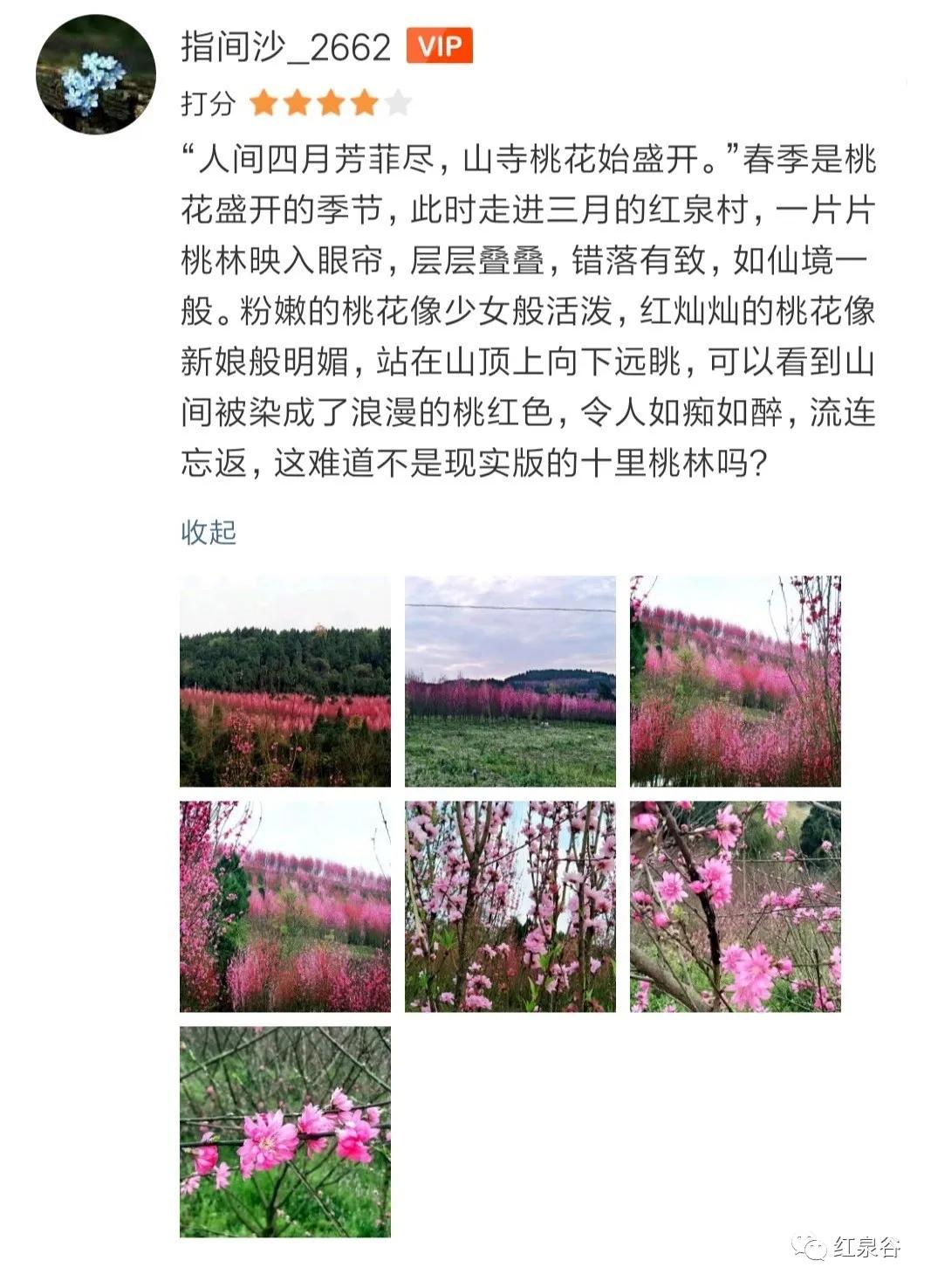 成都桃花花海,成都绕城周边花海