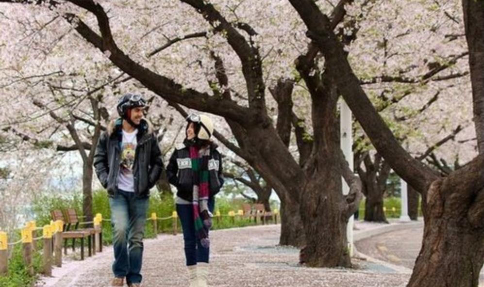 唯美电影短片小清新,温情小清新电影