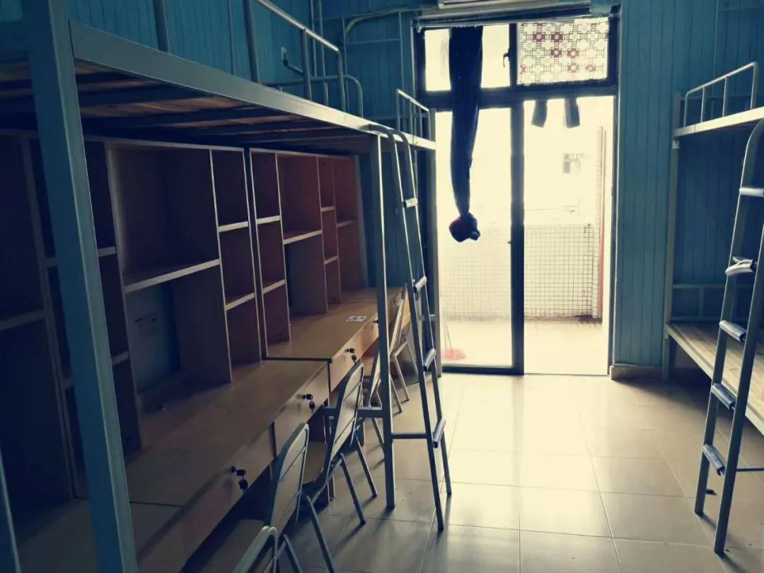 广东省内的大专院校排名表,广东省民办大专排行榜