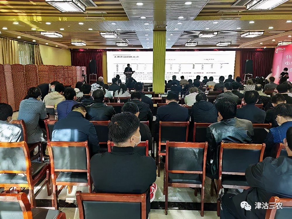 乡村全面振兴创新论坛,全面推动乡村振兴实现共同富裕