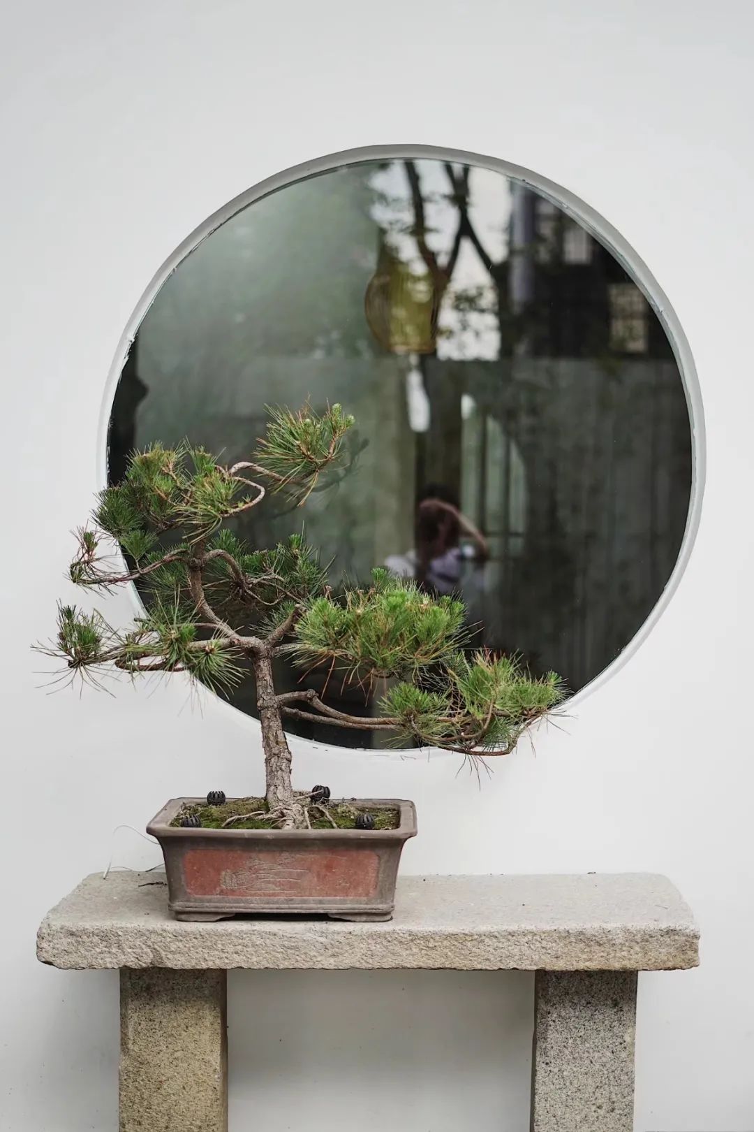 春天的第一杯茶颜悦色奶茶,春天的第一杯竹筒茶