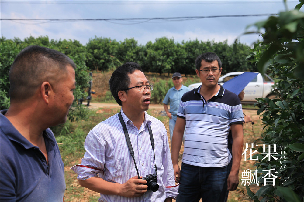 果园建园,果园选址规划