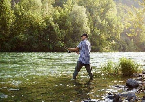 垂钓鲶鱼的实战经验,钓鱼鲶鱼用什么最好钓
