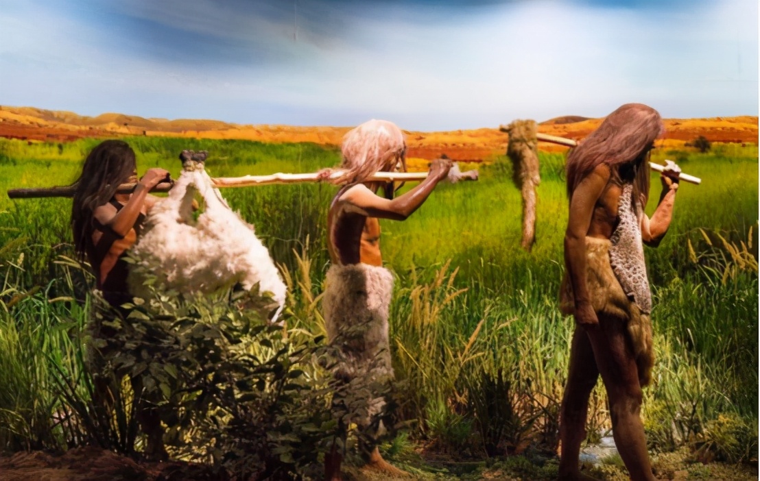 最大人类粪便化石,世界上最大的粪便化石