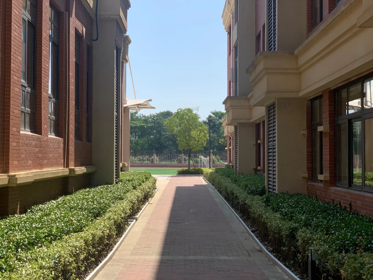 金中开学,金中岱山和雨花岱山