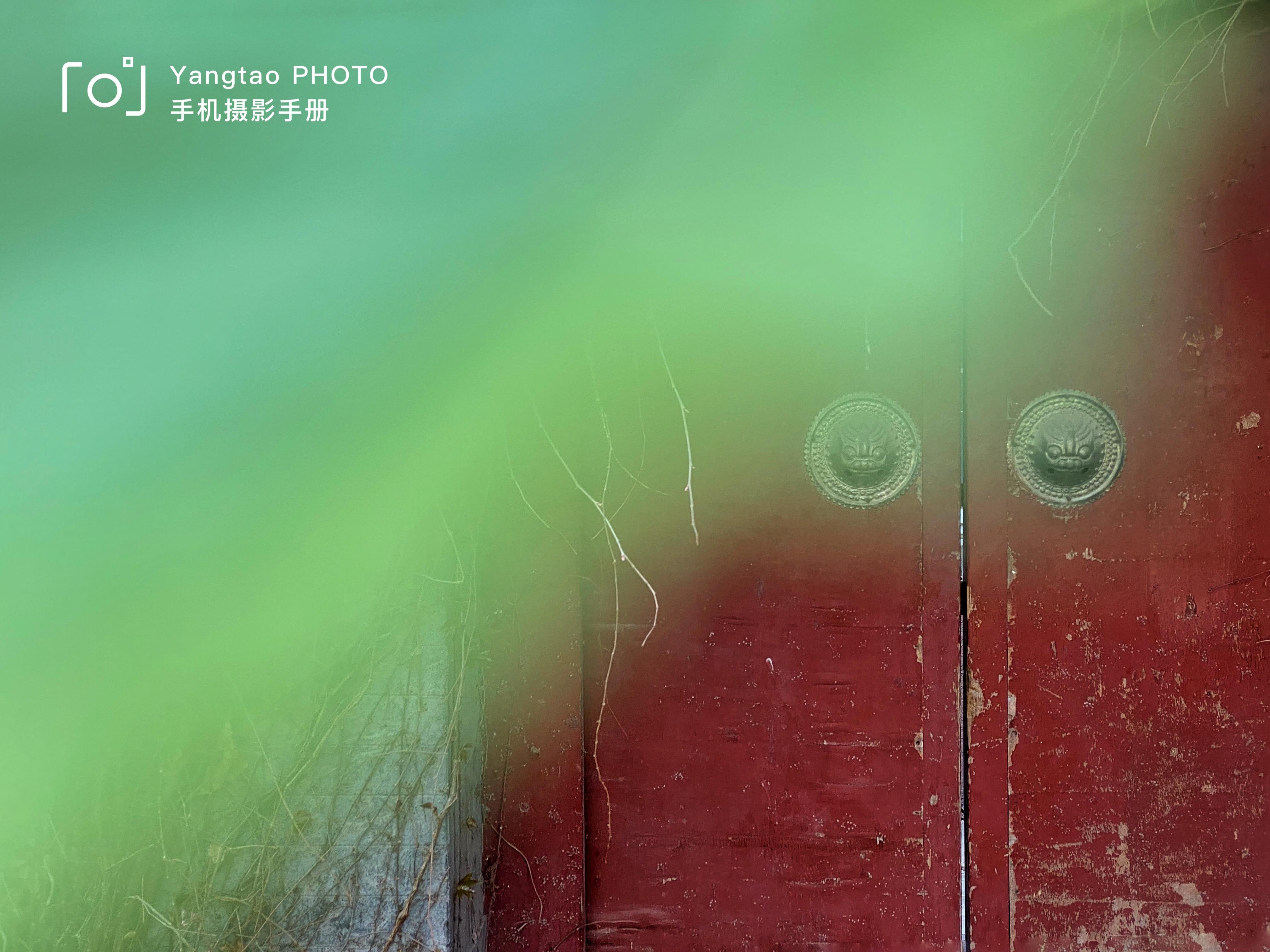 拍照教程教你如何拍出好看的照,教你4个技巧助你拍出光影美照