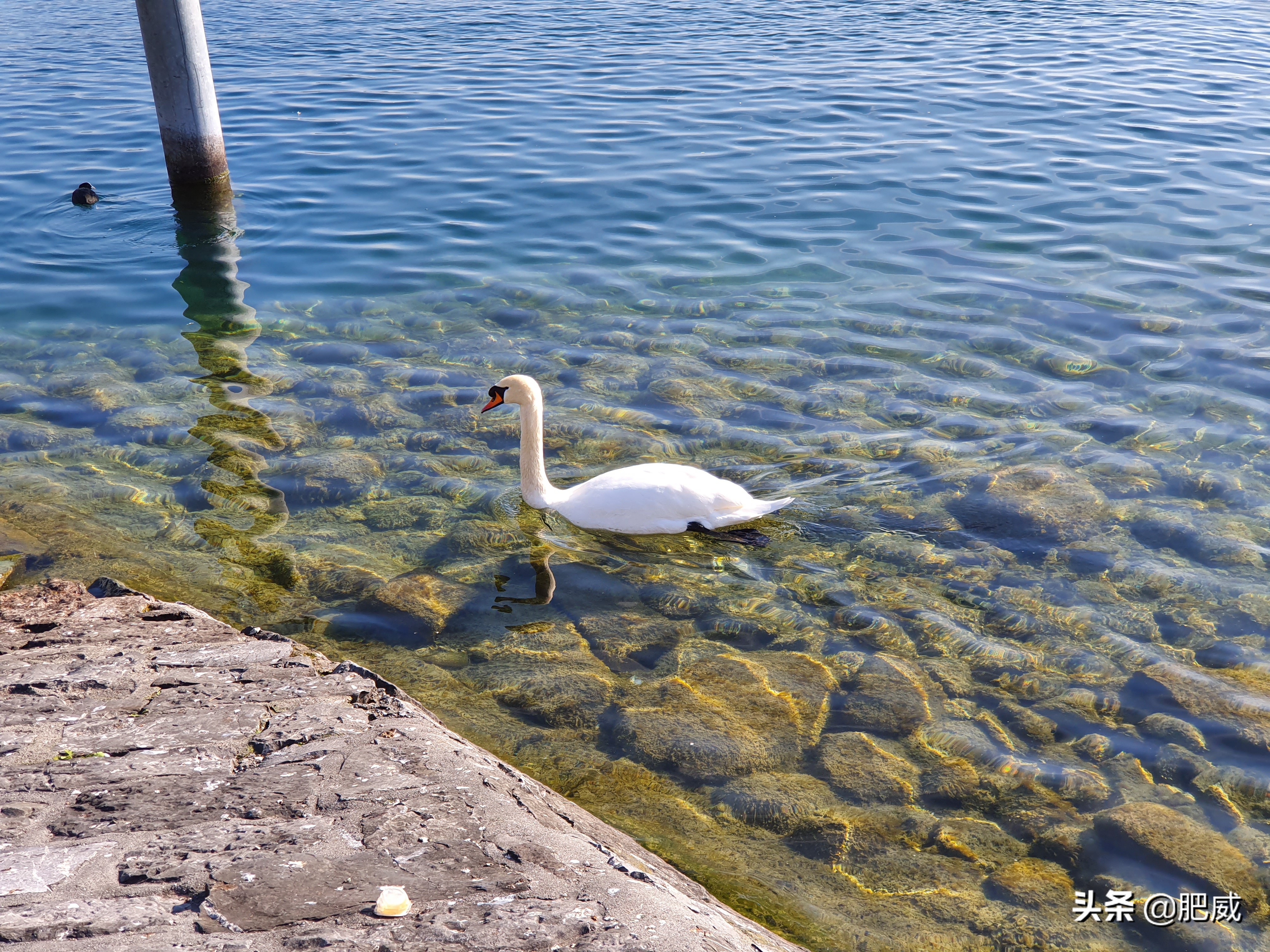 三星galaxys10深度测评,三星galaxys10对比三星galaxys10
