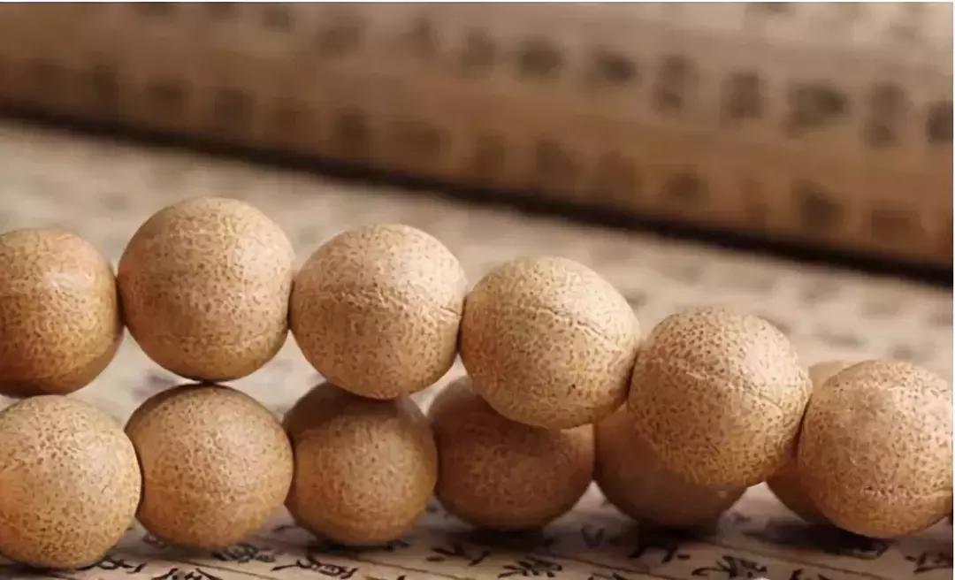 最全的菩提子图解太美了,最好的菩提子