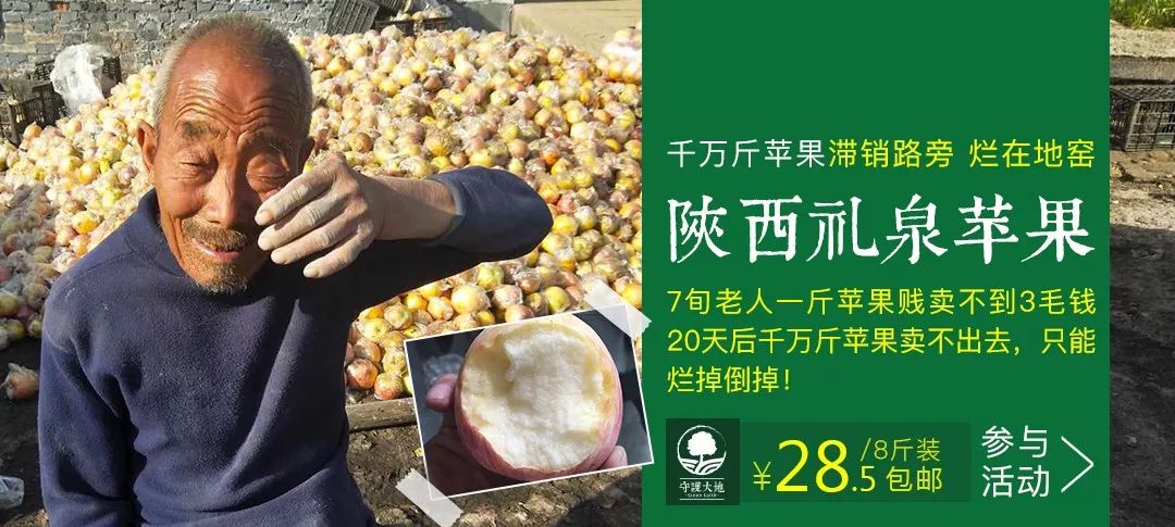 农业创业到底有多难,农业创业赚钱的十种运营模式