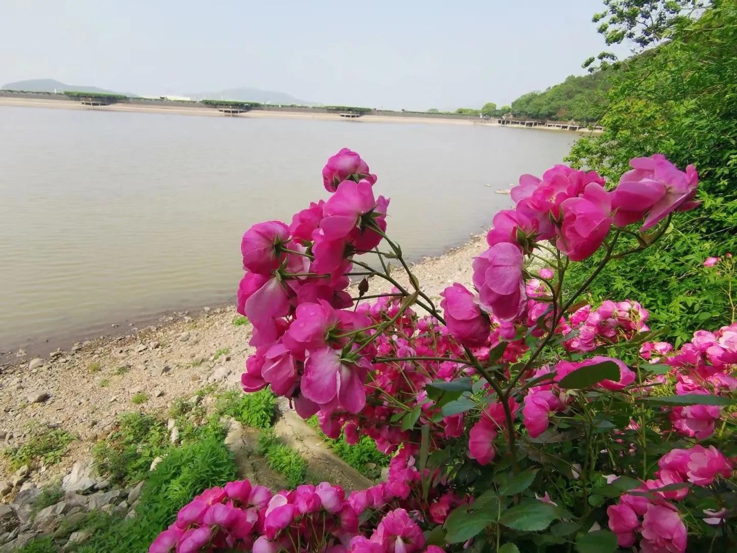 舟山桃花岛最佳旅游时间,舟山桃花岛游玩攻略