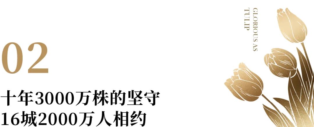 万株郁金香春天,一百万株郁金香