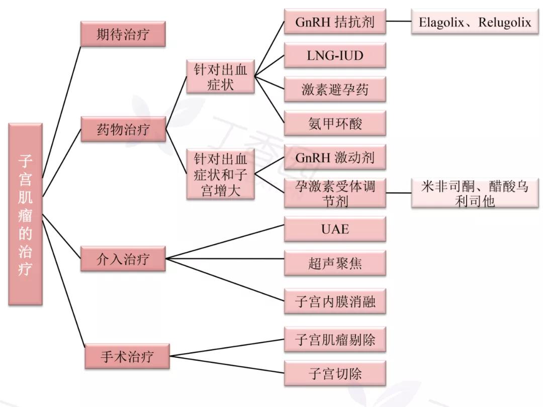 子宫肌瘤的诊治指南和专家共识,2018子宫肌瘤治疗指南