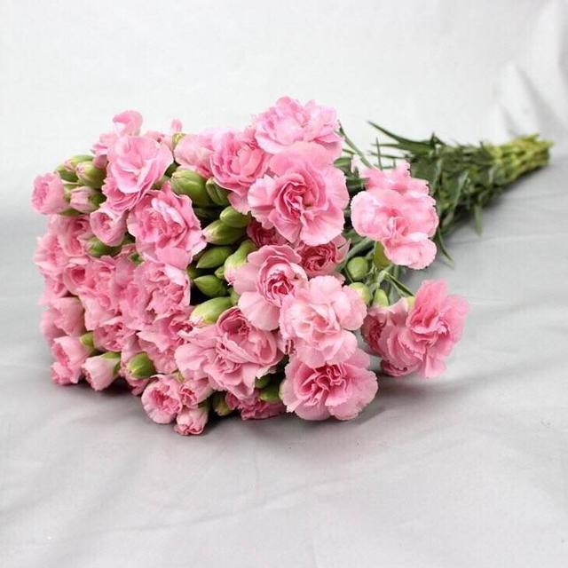 一岁一寒一春秋，一草一木一参花。