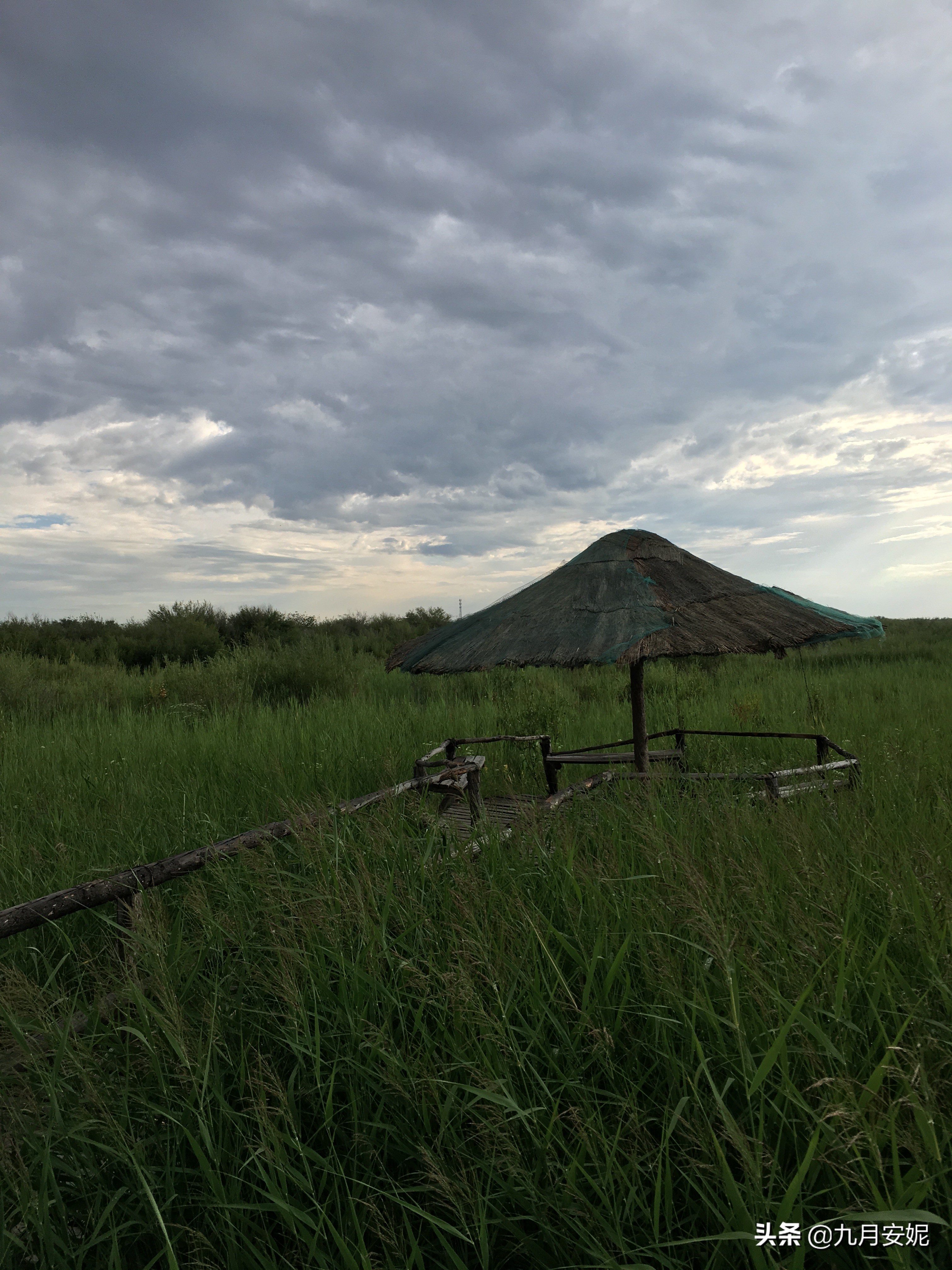 去达里湖看华子鱼洄游,达里诺尔湖华子鱼洄游在哪里