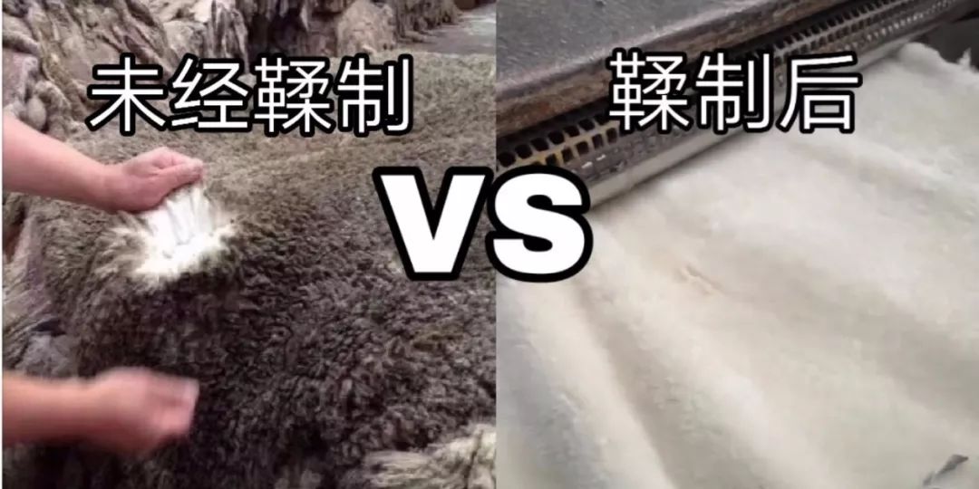 澳洲ugg为什么便宜,澳洲本土正宗ugg