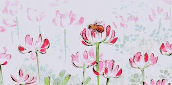 发际线秃顶植发需要多少钱,发际线植发一个毛囊要多少钱