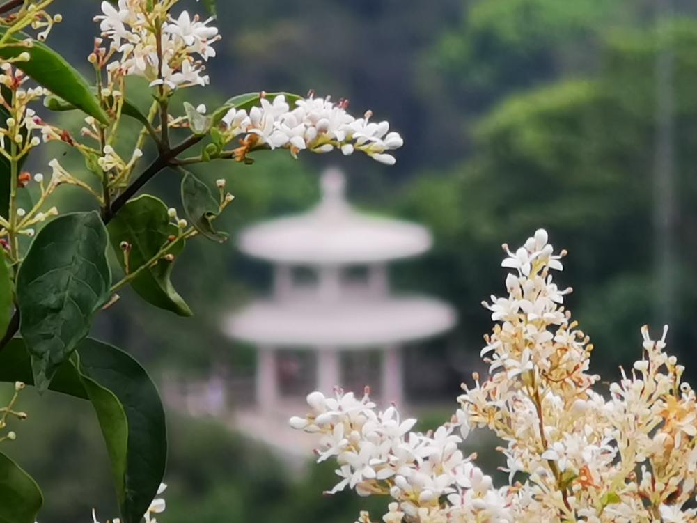 从城市到山林,从城市到田野