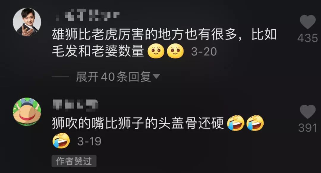 动物森友会怎么正常生活,动物森友会有哪些小动物会吵架