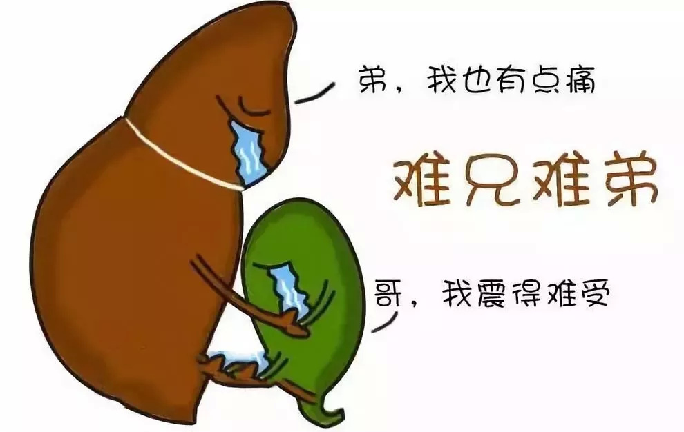 老生常谈和人尽皆知区别,胆结石跟胃病有关系吗