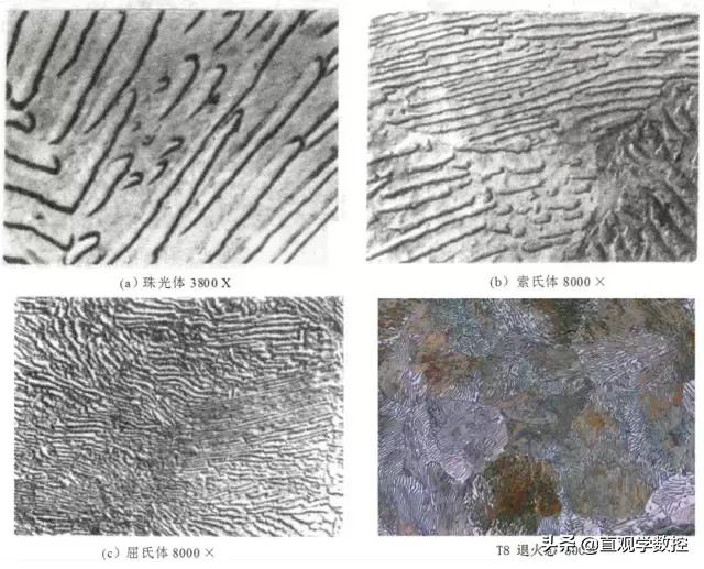 金相如何分辨奥氏体和铁素体,马氏体奥氏体金相