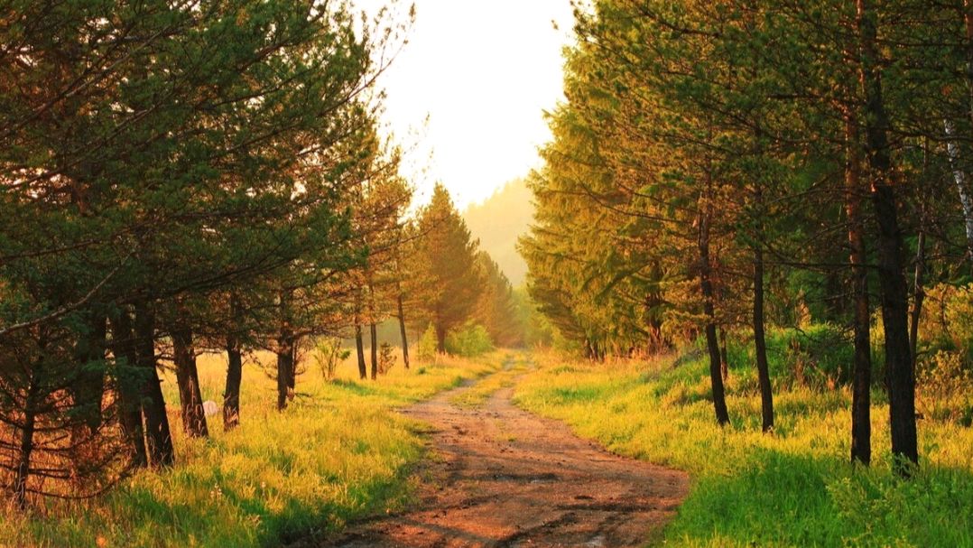 杨万里两首蕴含人生哲理的小诗,清新自然,极富趣味,值得一读