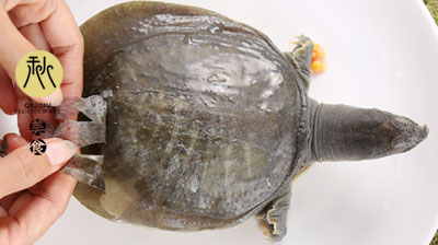 甲鱼汤如何去腥味,甲鱼汤怎么去腥味