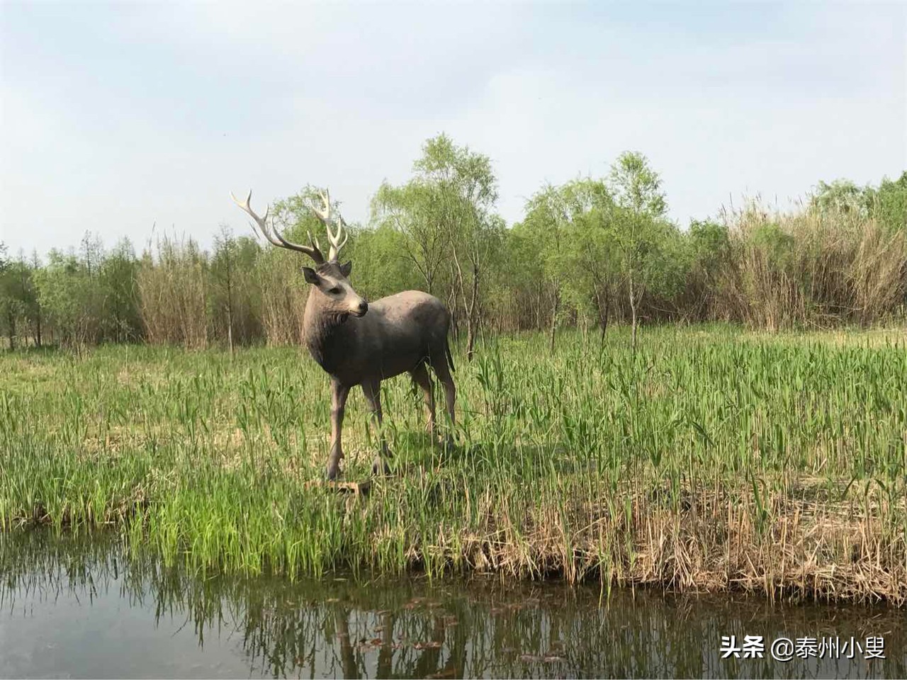 泰州市姜堰区委书记,泰州市姜堰区天气