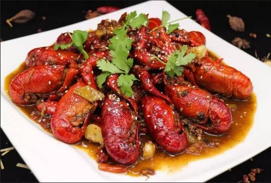 龟类的进化过程图片,龟鳖目动物外形特征